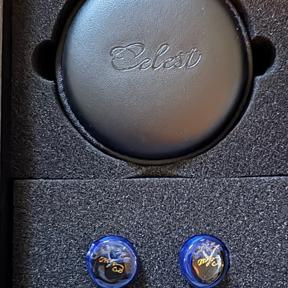 Celeste Blue In-Ear Earbuds with Carrying Case